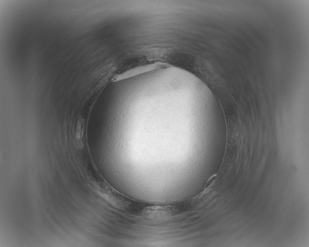 X0000060560082200511171616
