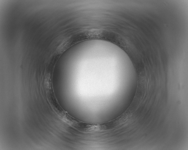 X0000060560083200511171616