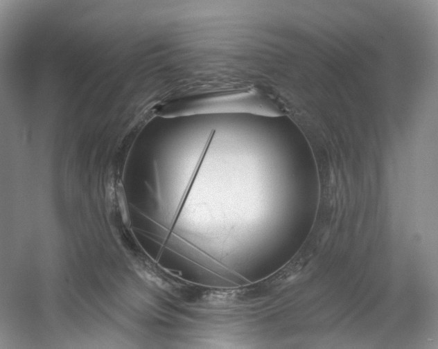 X0000060560084200511171616
