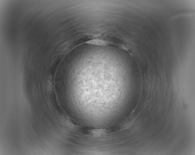 X0000060560085200511171616