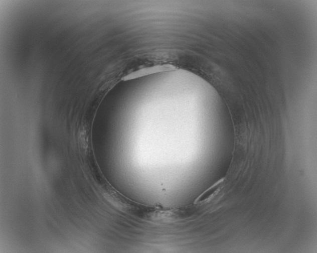 X0000060560086200511171616