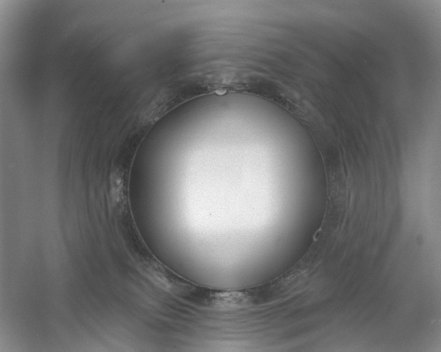 X0000060560087200511171616