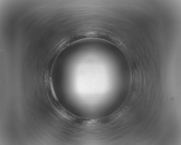 X0000060560092200511171616