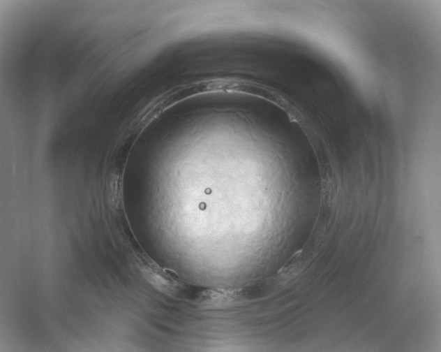 X0000060560093200511171616
