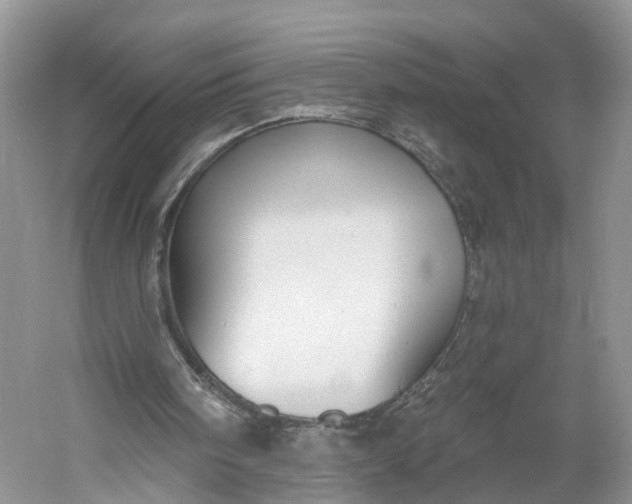 X0000060560098200511171616