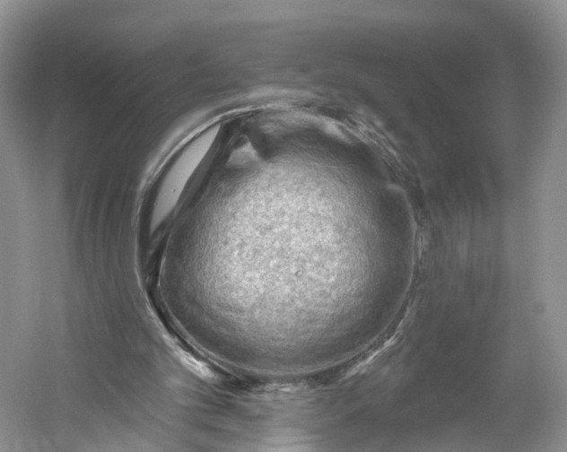 X0000060560101200511171616