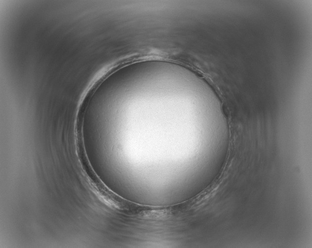 X0000060560102200511171616