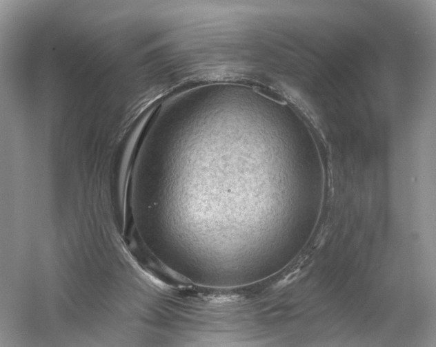 X0000060560105200511171616