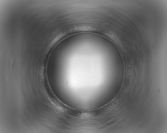 X0000060560111200511171615