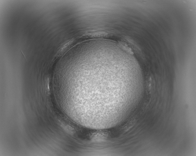 X0000060560115200511171615