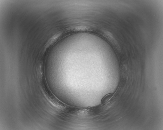 X0000060560116200511171615