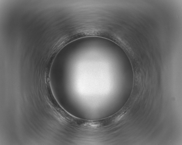 X0000060560117200511171615