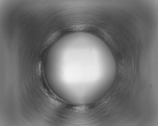 X0000060560118200511171615