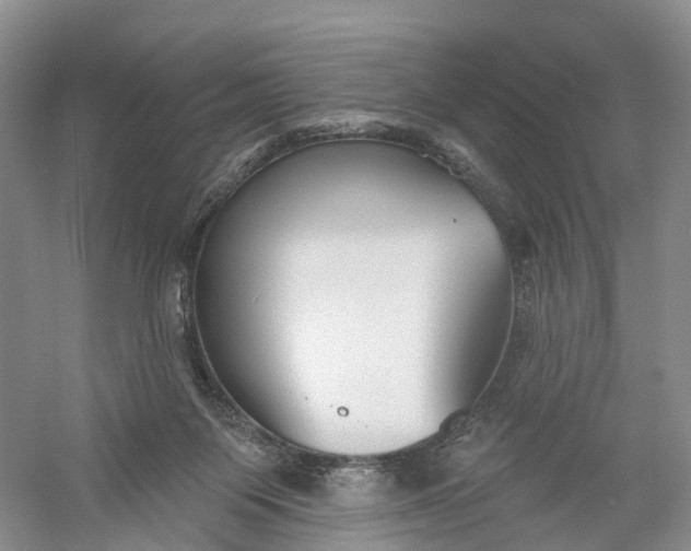 X0000060560119200511171615