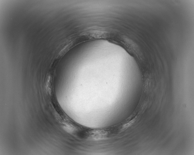 X0000060560121200511171615