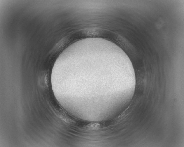 X0000060560124200511171615