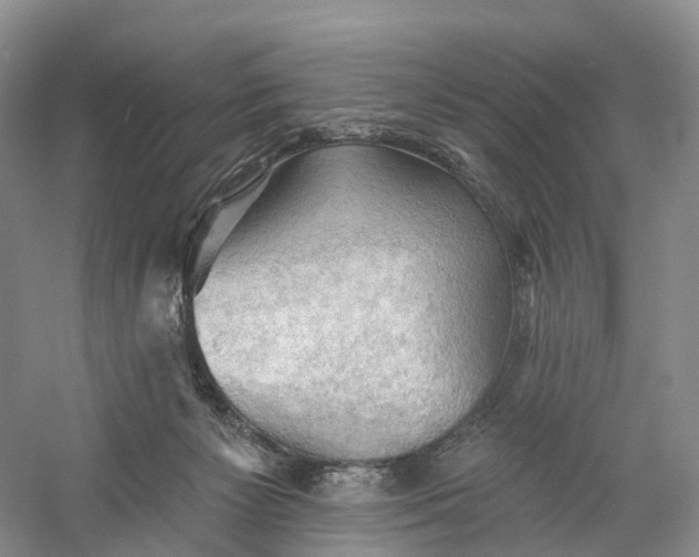 X0000060560125200511171615