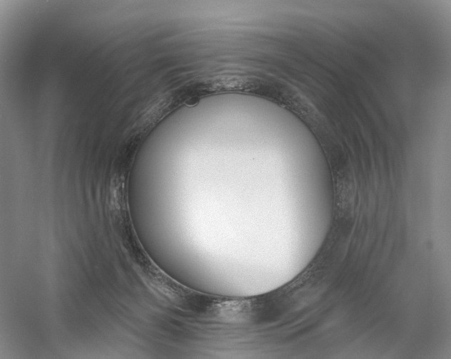 X0000060560126200511171615