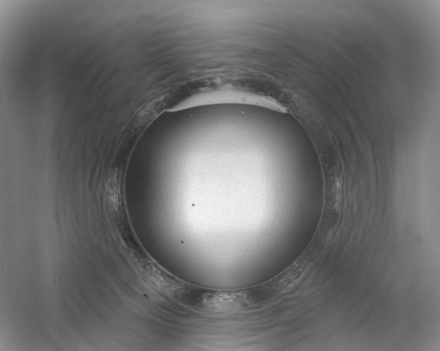 X0000060560129200511171615