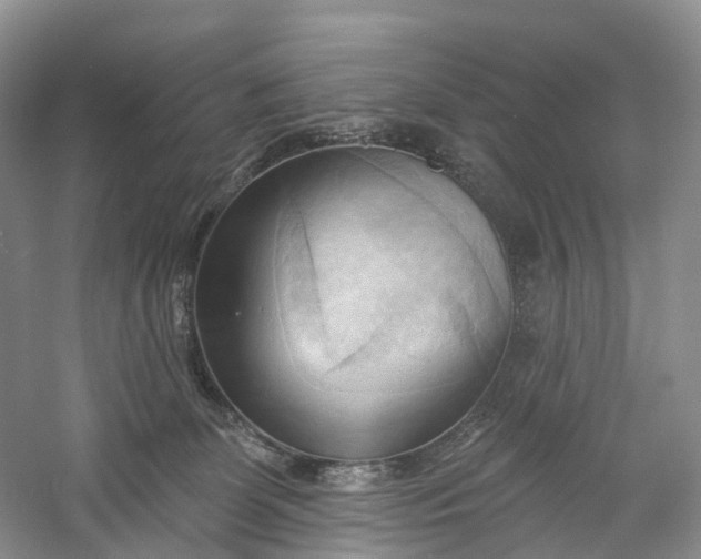 X0000060560131200511171615