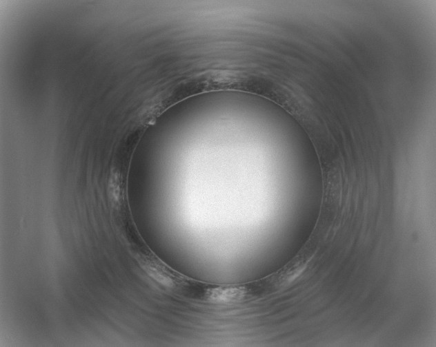 X0000060560135200511171615