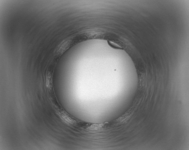 X0000060560138200511171615