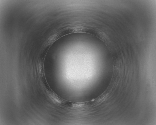 X0000060560139200511171615