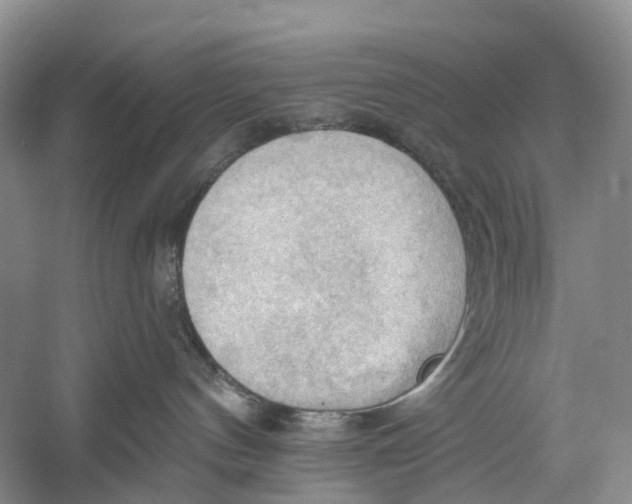 X0000060560144200511171615