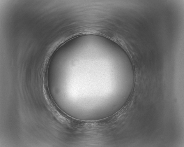 X0000060560145200511171614