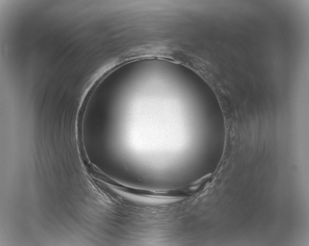 X0000060560148200511171614