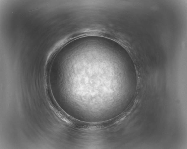 X0000060560149200511171614