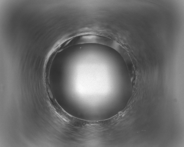 X0000060560150200511171614