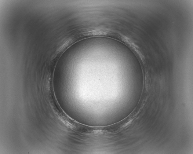 X0000060560153200511171614