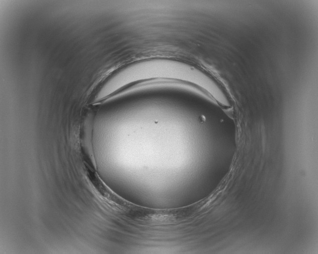 X0000060560154200511171614