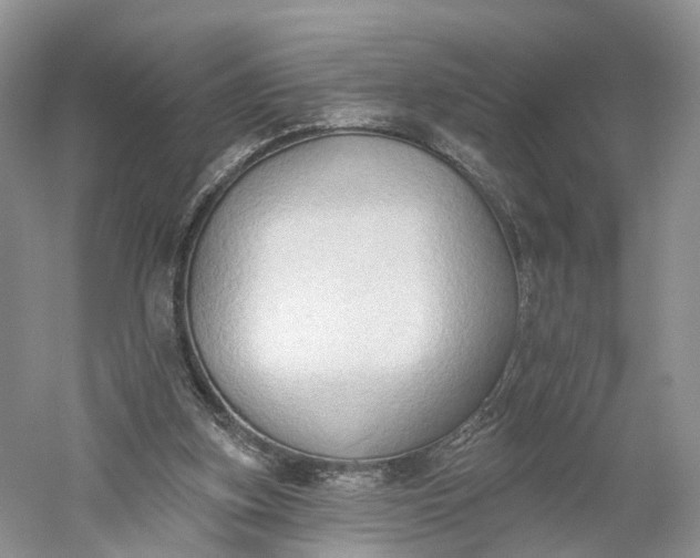X0000060560155200511171614