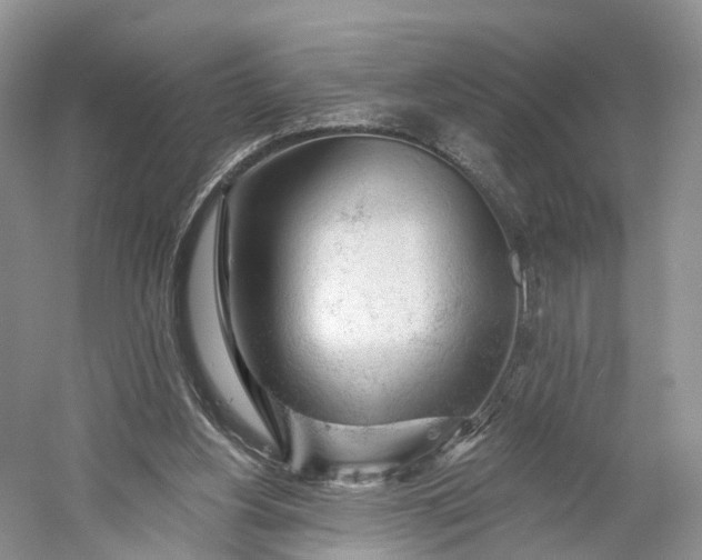 X0000060560156200511171614