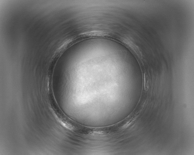 X0000060560157200511171614