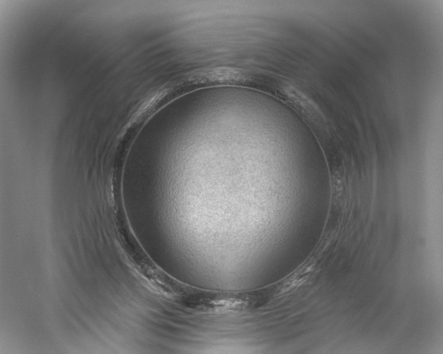 X0000060560158200511171614