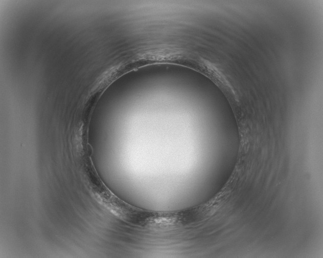X0000060560163200511171614