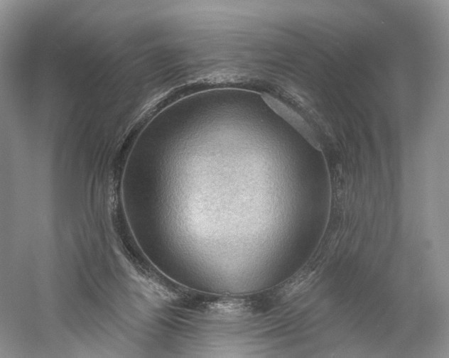 X0000060560164200511171614