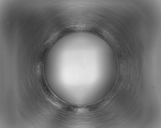 X0000060560165200511171614