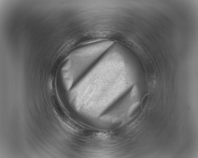 X0000060560166200511171614