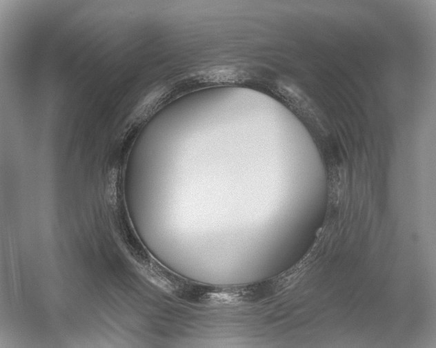 X0000060560167200511171614