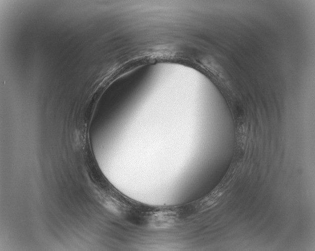X0000060560168200511171614