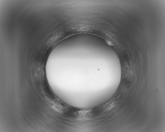 X0000060560172200511171615