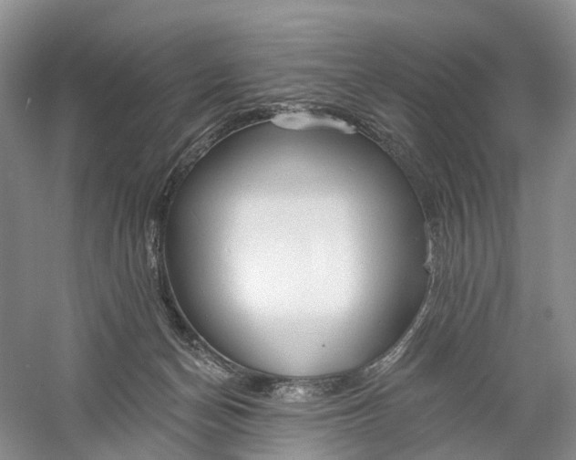 X0000060560174200511171615