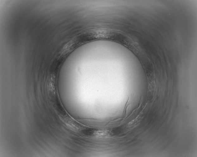 X0000060560175200511171615