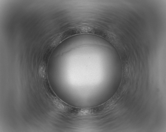 X0000060560177200511171615