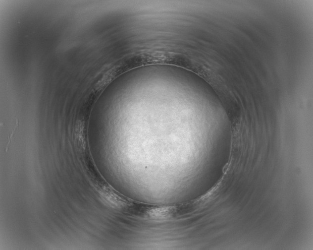X0000060560178200511171615