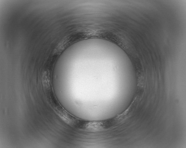X0000060560179200511171615